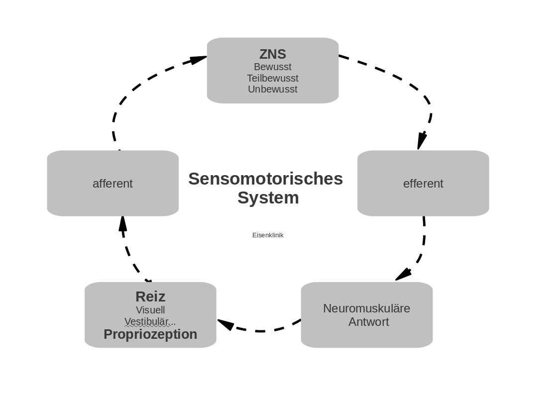 sensomotorik