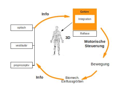 sensorische integration