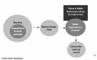 synergetische trainingssteuerung
