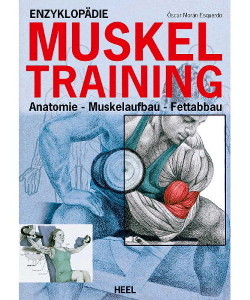 muskeltraining